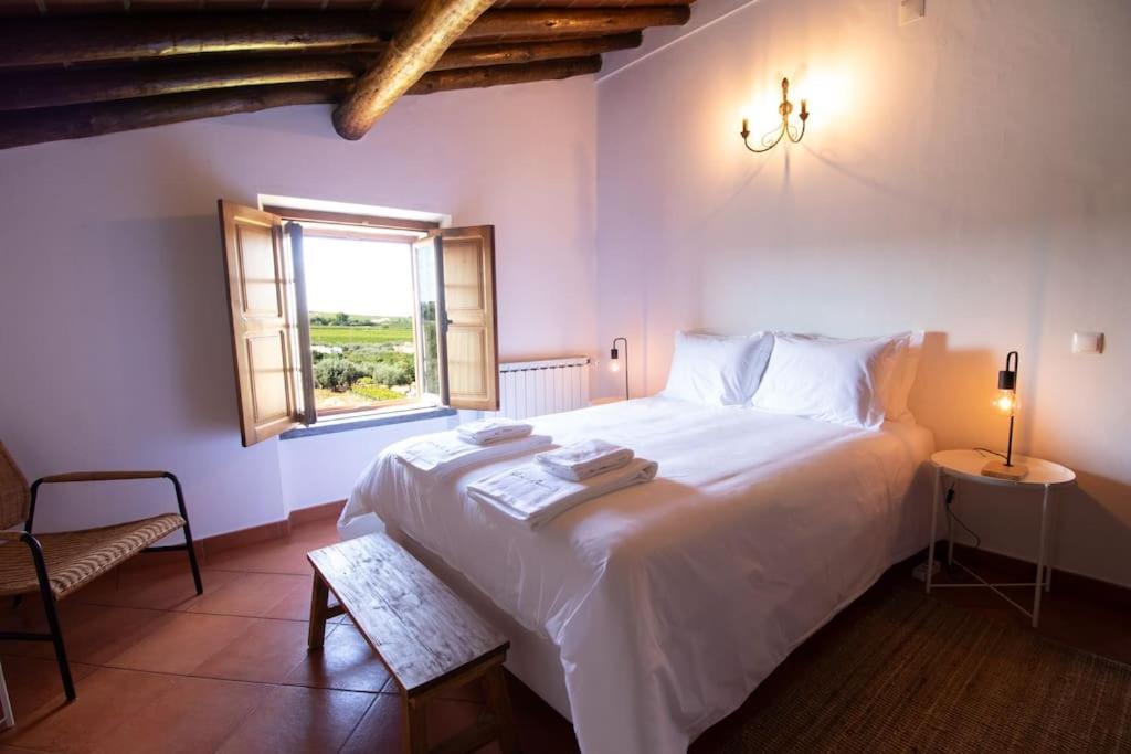 Horta Dos Caracois Villa *